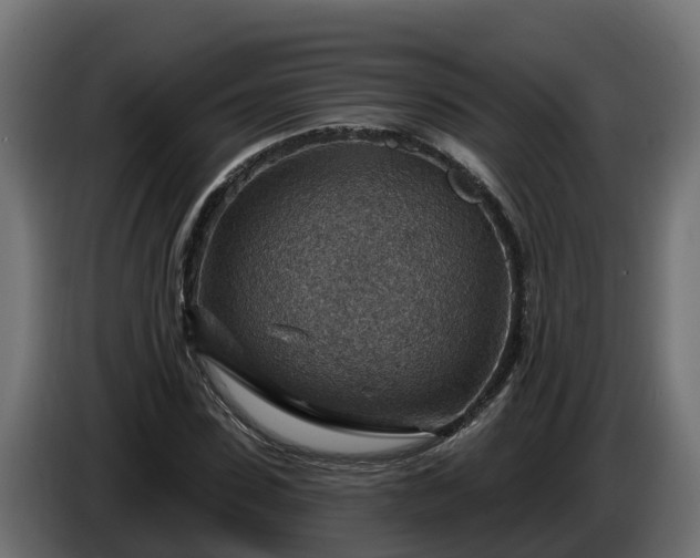 X0000086320923200704131650