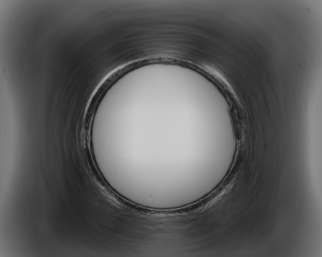 X0000086320924200704131650