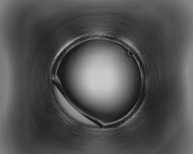 X0000086320925200704131650