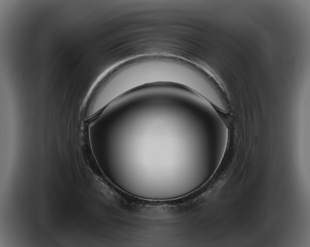 X0000086320926200704131650