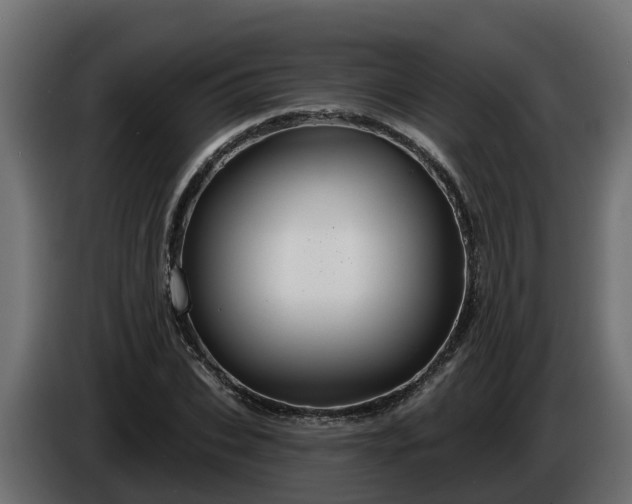 X0000086320927200704131650