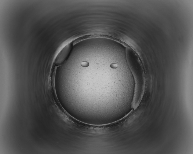 X0000086320928200704131650