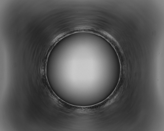 X0000086320929200704131650