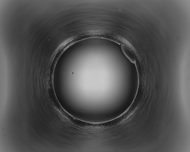 X0000086320930200704131650