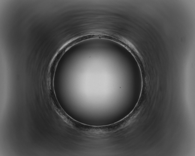 X0000086320931200704131650