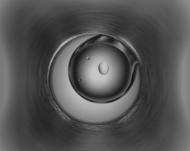 X0000086320932200704131650