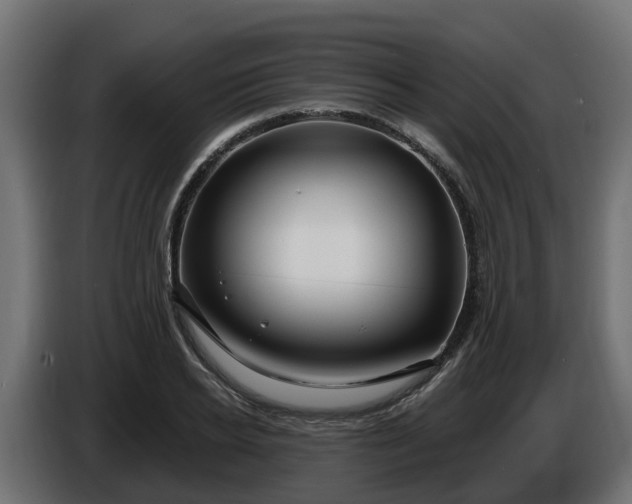 X0000086320934200704131650