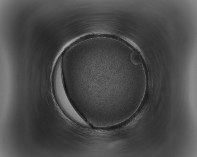 X0000086320935200704131650