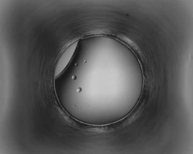 X0000086320937200704131650