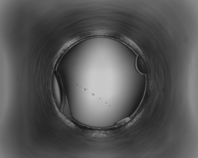 X0000086320938200704131650