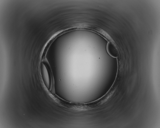 X0000086320939200704131650