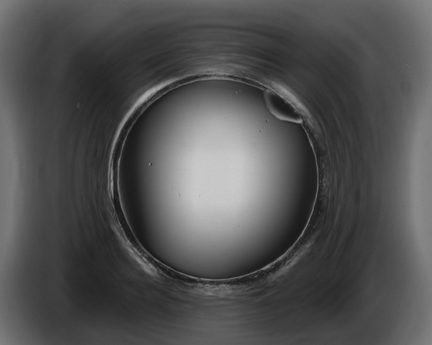 X0000086320940200704131650