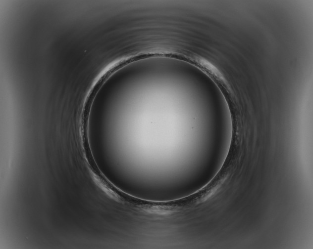 X0000086320942200704131650