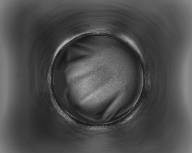 X0000086320944200704131650