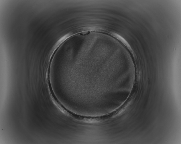 X0000086320946200704131650