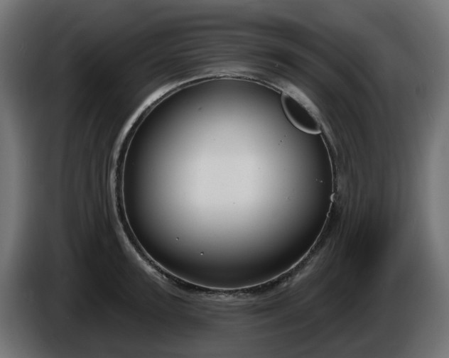 X0000086320947200704131650