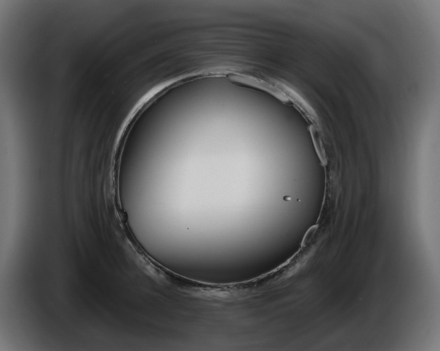 X0000086320948200704131650