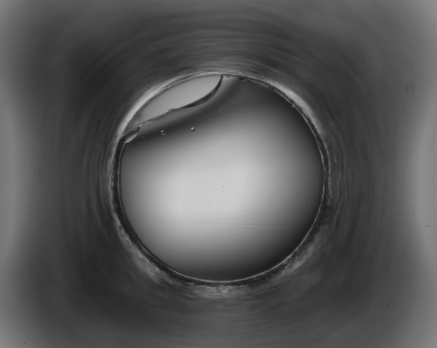 X0000086320949200704131650