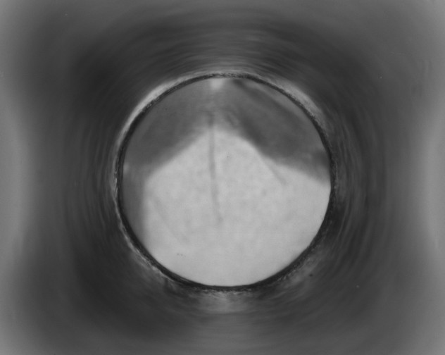 X0000086320950200704131650