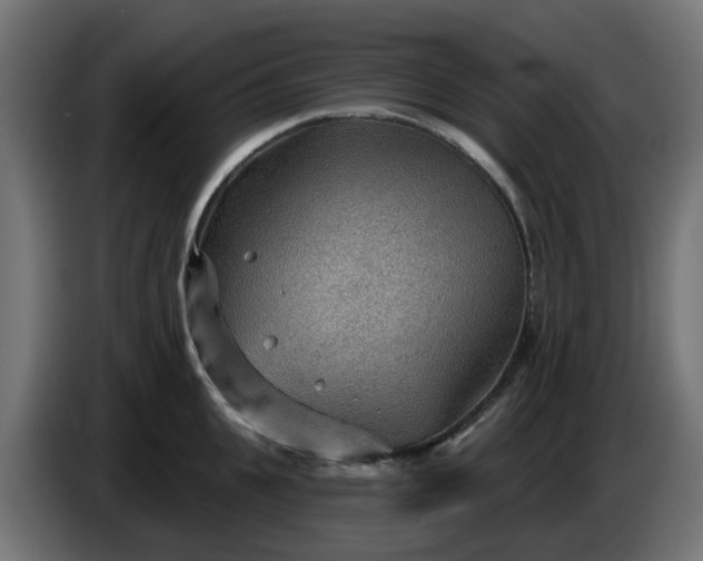 X0000086320951200704131650