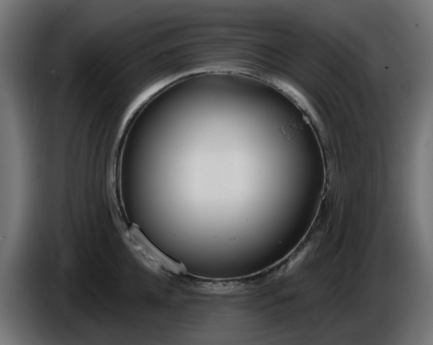 X0000086320952200704131650