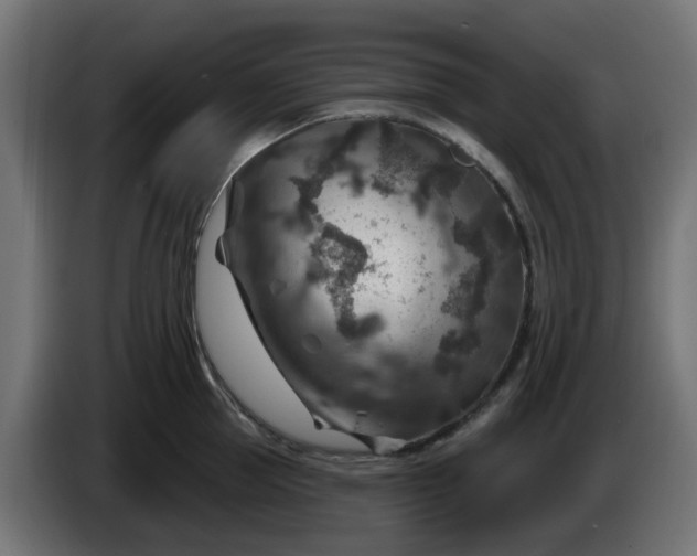 X0000086320953200704131650