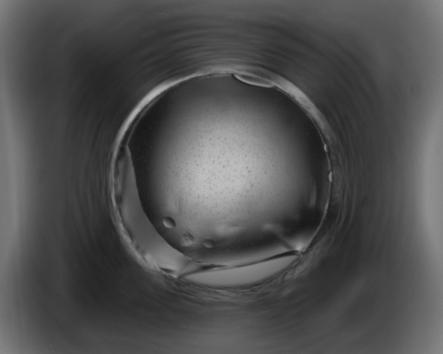 X0000086320955200704131650