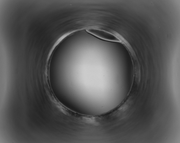 X0000086320956200704131650