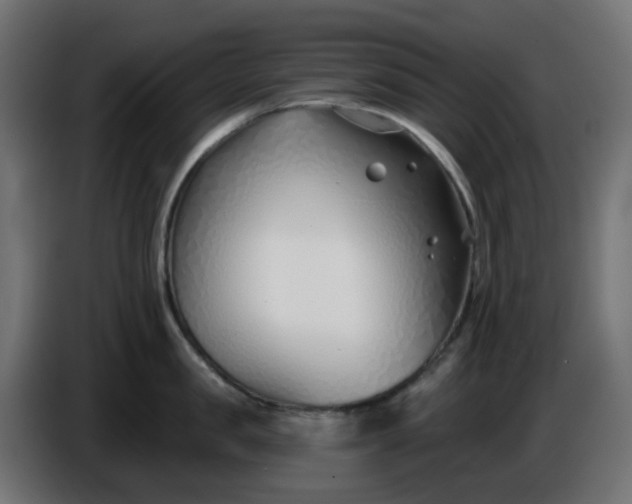 X0000086320957200704131650