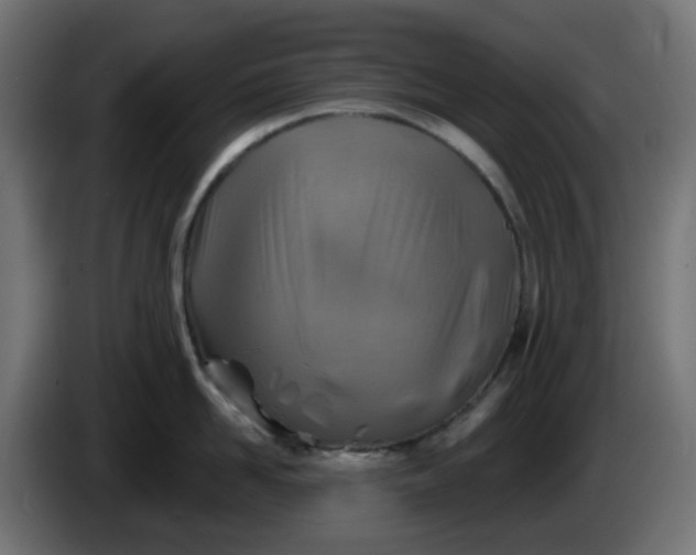 X0000086320958200704131650