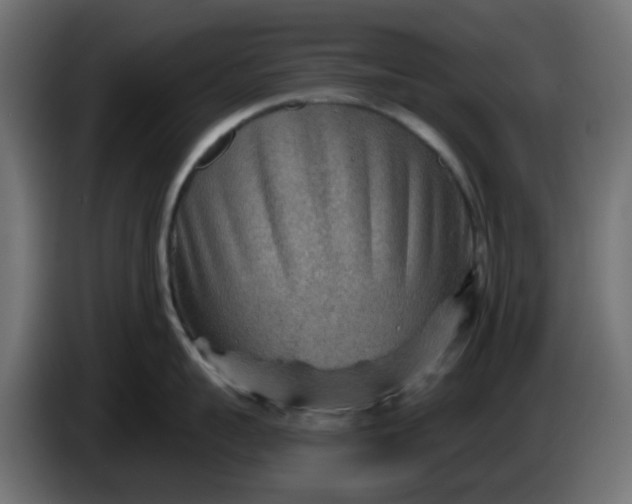 X0000086320959200704131650