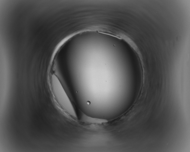 X0000086320960200704131650