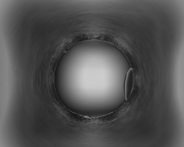 X0000086320961200704131650