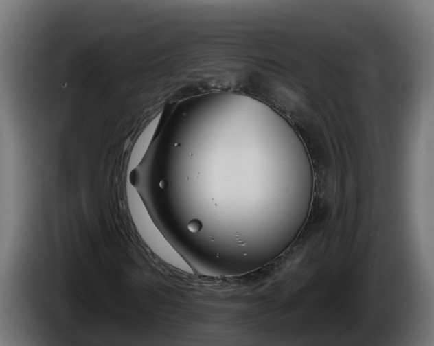 X0000086320962200704131650