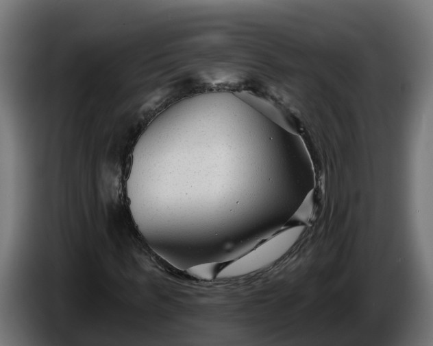 X0000086320963200704131650