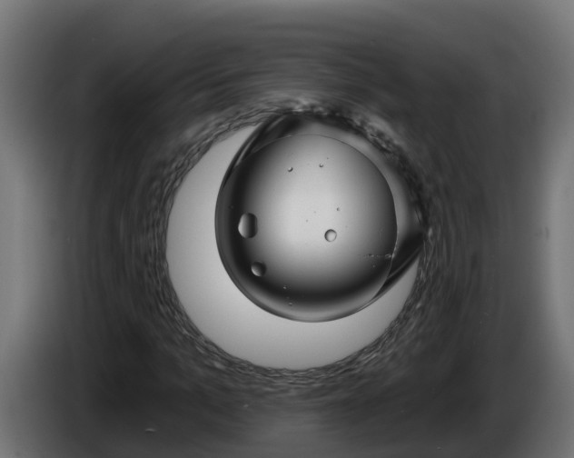 X0000086320965200704131650