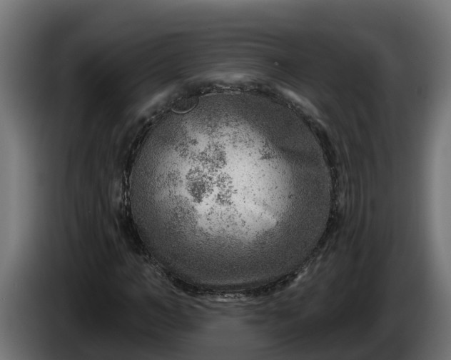 X0000086320966200704131650