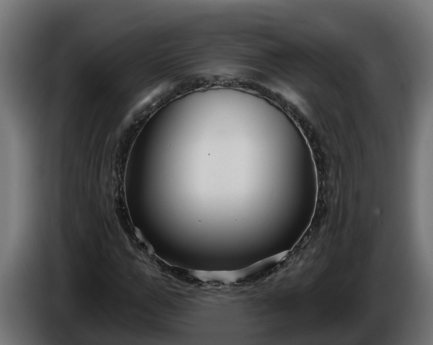 X0000086320967200704131650