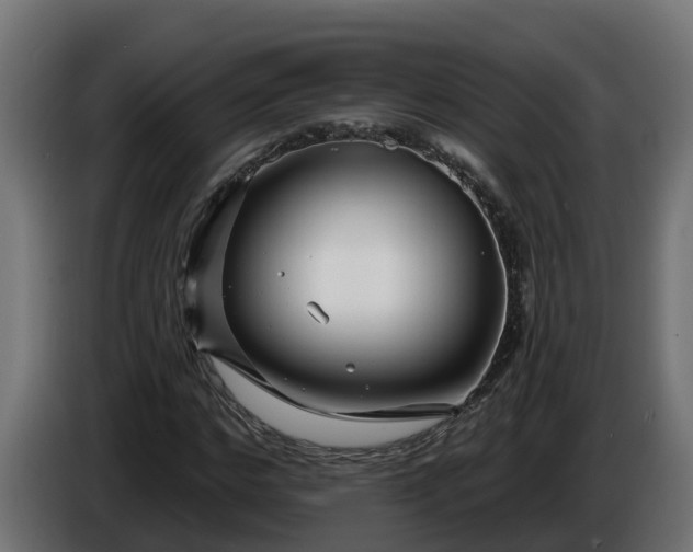 X0000086320968200704131650