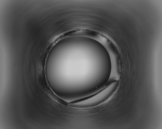 X0000086320969200704131650