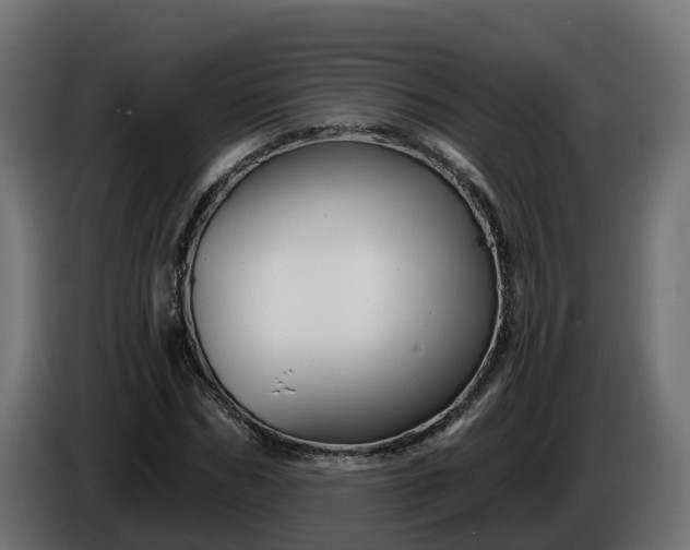 X0000086320970200704131650