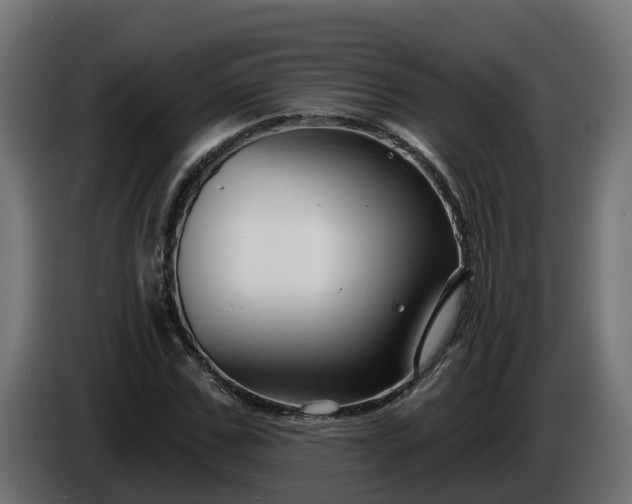 X0000086320971200704131650