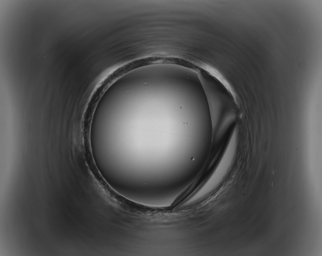 X0000086320972200704131650