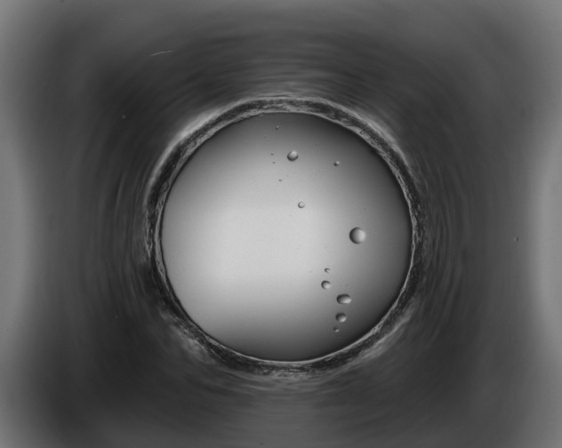 X0000086320974200704131650