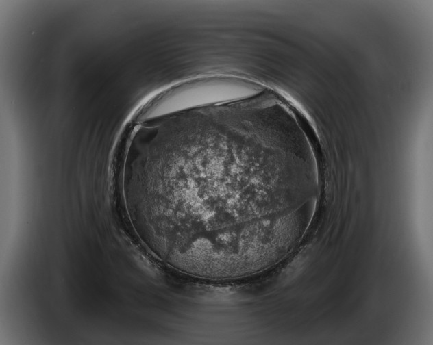 X0000086320975200704131650