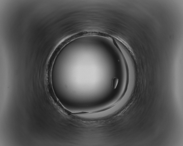 X0000086320976200704131650