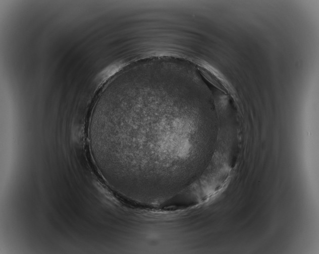 X0000086320977200704131650