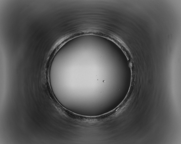 X0000086320978200704131650