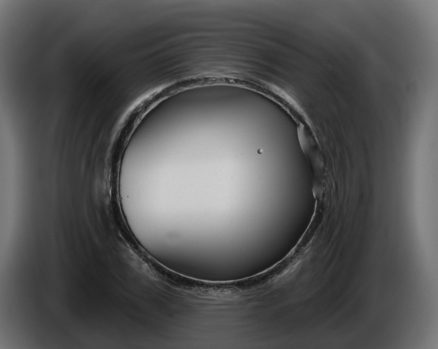 X0000086320979200704131650