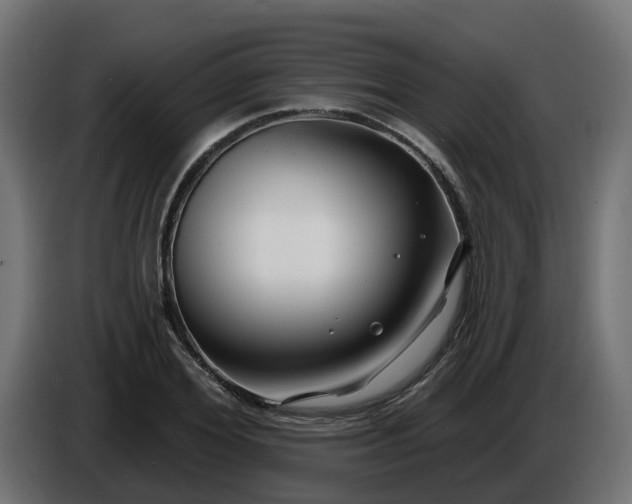 X0000086320980200704131650